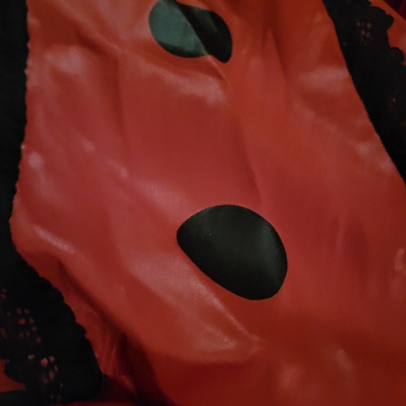 Lady Bug 🐞 costume 5 piece set great quality - Picture 7 of 14